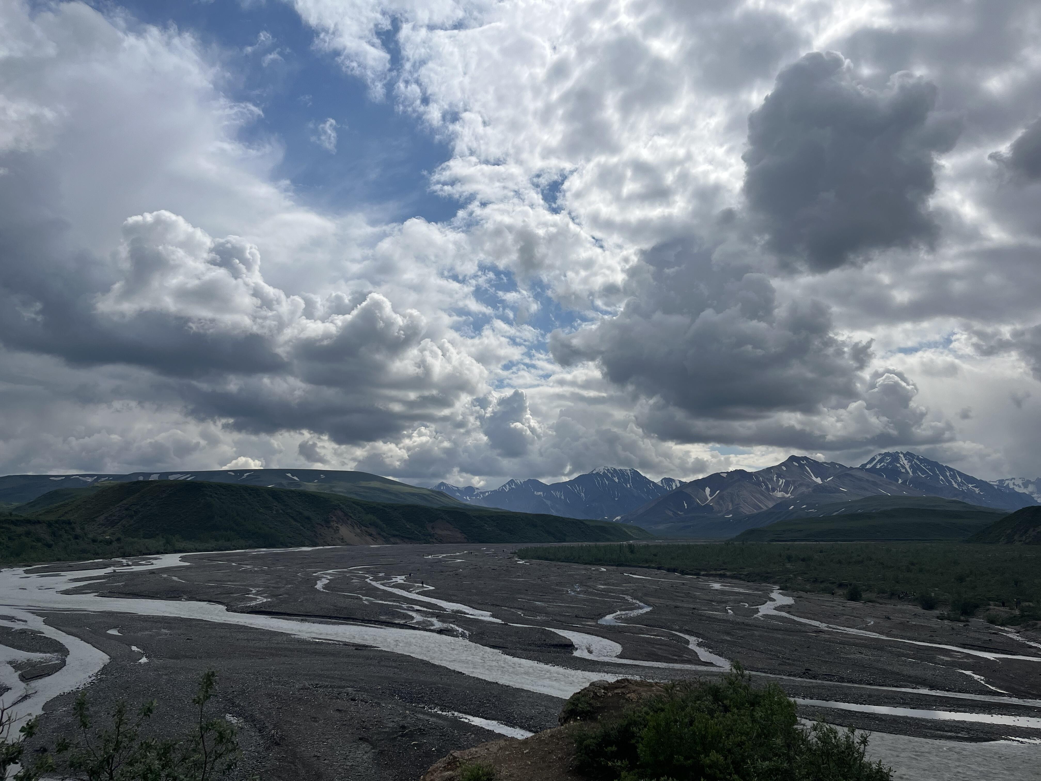 IMG_7300.jpeg