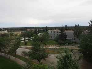 雨上がりの大学構内