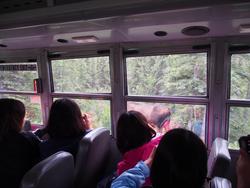 車内の撮影大会